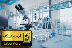 ارائه بیش از ۲۴۹ هزار خدمت آزمایشگاهی در مرکز آموزشی درمانی رازی رشت در سال ۱۴۰۳